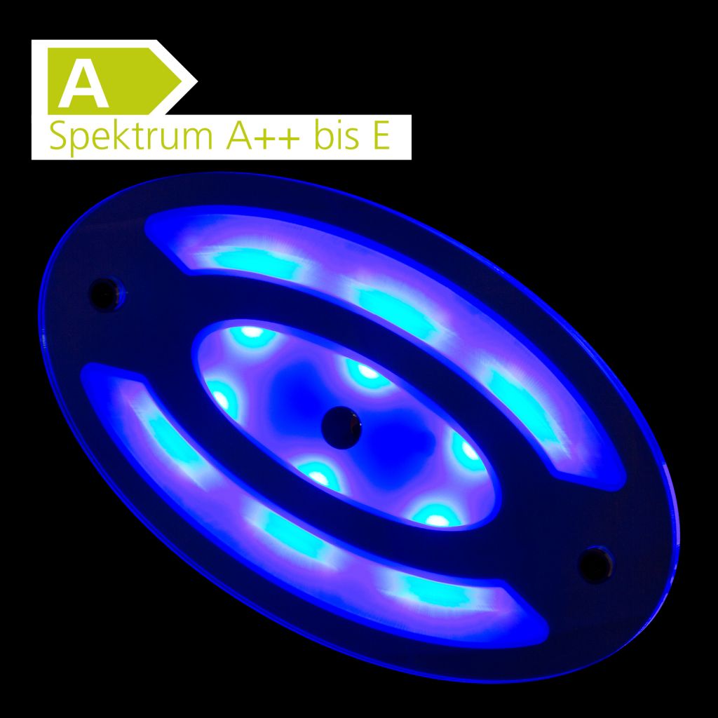 LED Deckenleuchte Nightlight Oval – Bild 3