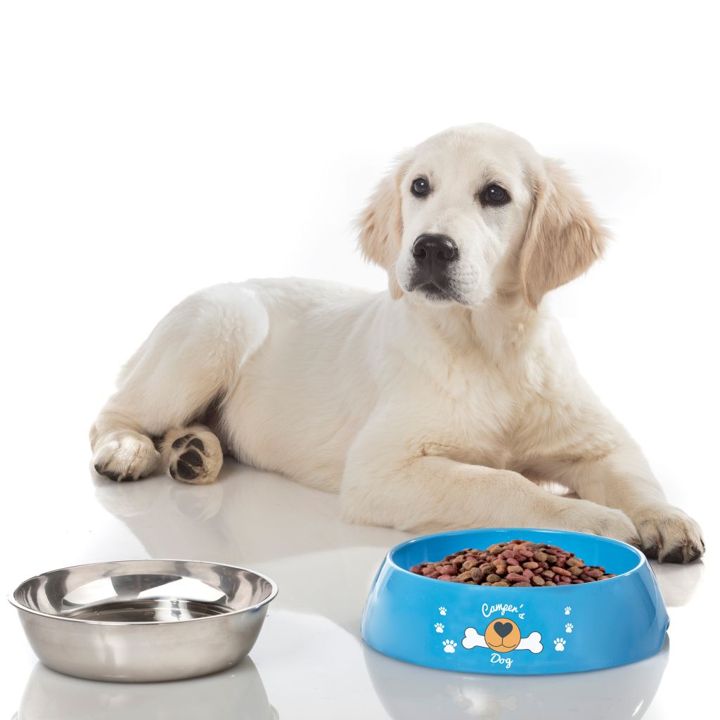 Hundeschüssel Hungry – Bild 4