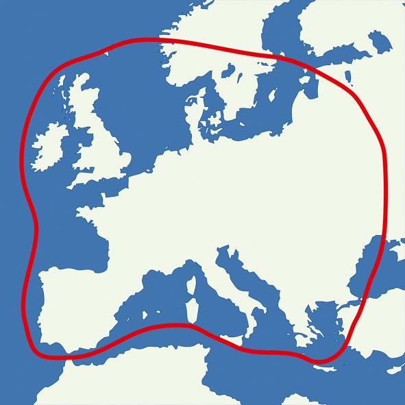 Sat-Anlage AutoSat 2S 85 Control Internet – Bild 5