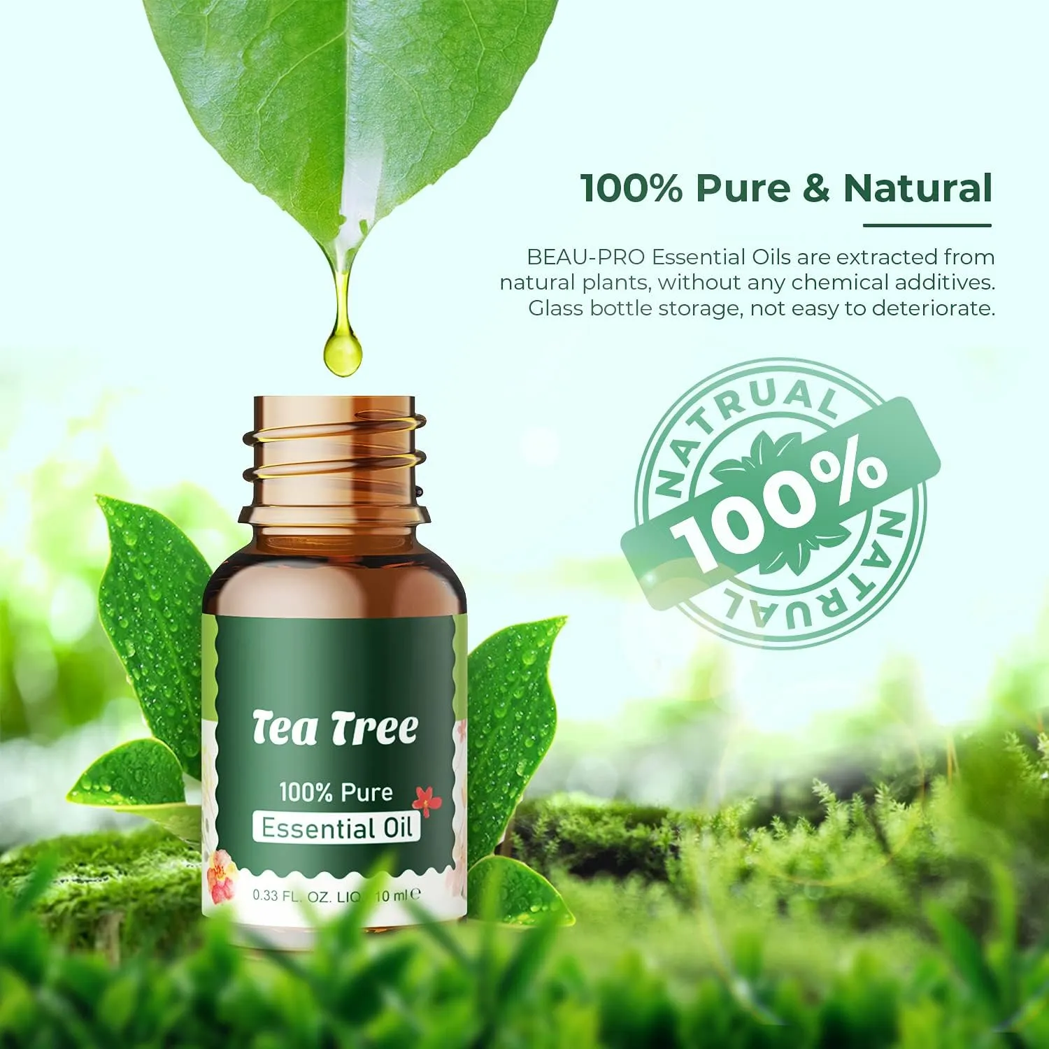 Ätherische Öle Set für Diffuser 12 x 10ml | 8 x 10ml – 100% Naturrein Aroma Diffuser Aromatherapie Öl Aromaöl Duftöle – Essential Oils – Bild 8