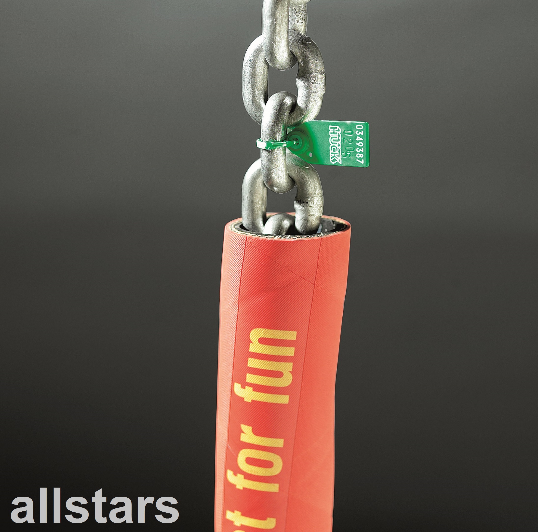 Huck Original Vogelnest® Vogelnestschaukel ∅ 120 cm Korbschaukel Nestschaukel schwarz schwarz – Bild 4