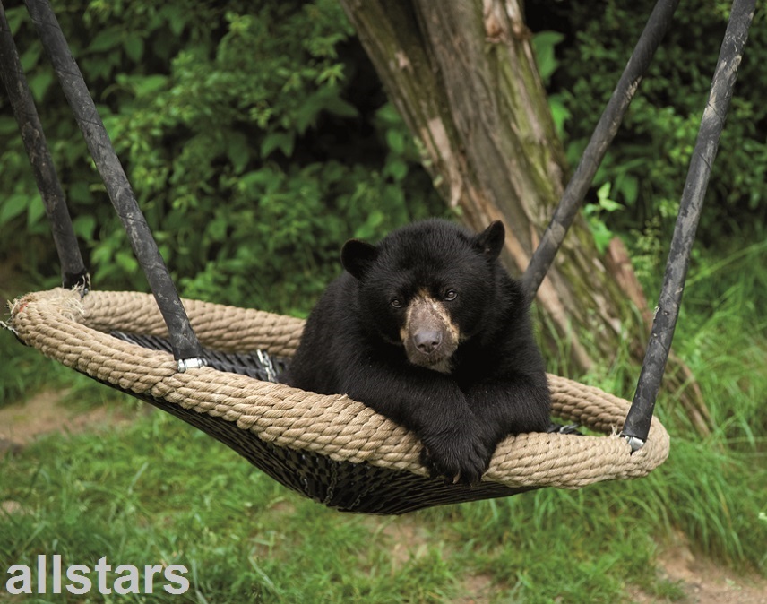 Huck Original Vogelnest® Vogelnestschaukel ∅ 120 cm Korbschaukel Nestschaukel beige schwarz